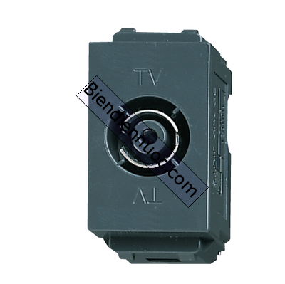 Ổ cắm anten TiVi, 75 Ohm dòng Wide Panasonic màu xanh