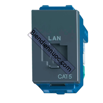 Ổ cắm data CAT5 dòng Wide Panasonic màu xanh