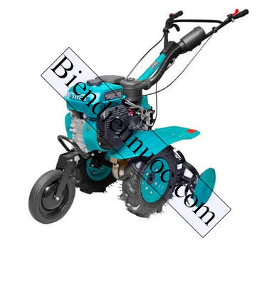 Máy xới đất dùng xăng Total TGC5001