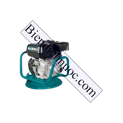 Máy đầm dùi bê tông dùng xăng Total TP630-22